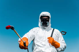 Lawn Pest Control in Stony Point, MI